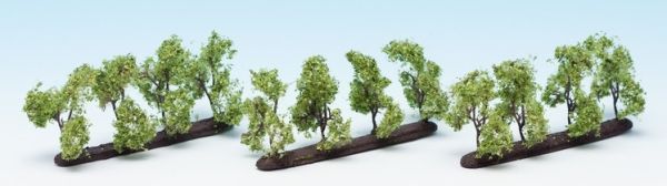 NOC21530 - Arbres de plantation - 1