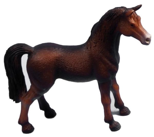 KID571858 - Cheval colori varié - 1