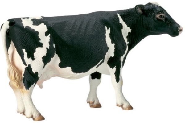 ARCHIVE234 - Vache Holstein - 1