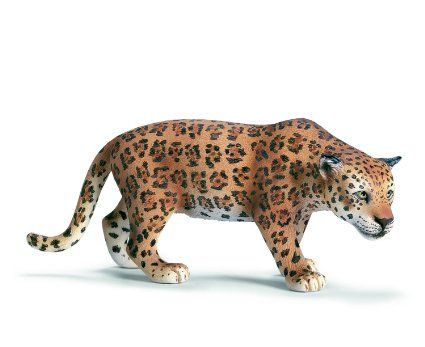 SHL14359 - Jaguar - 1