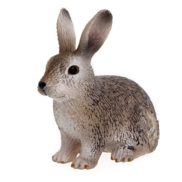 SHL14631 - Lapin sauvage - 1