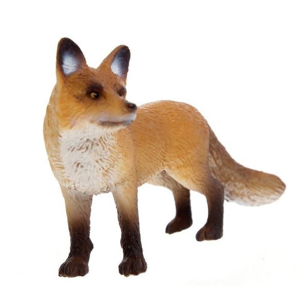 SHL14648 - Renard - 1