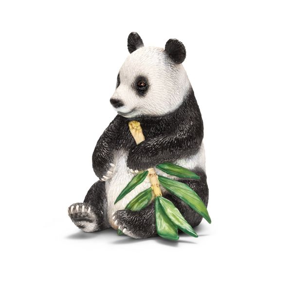 SHL14664 - Panda géant, mâle - 1