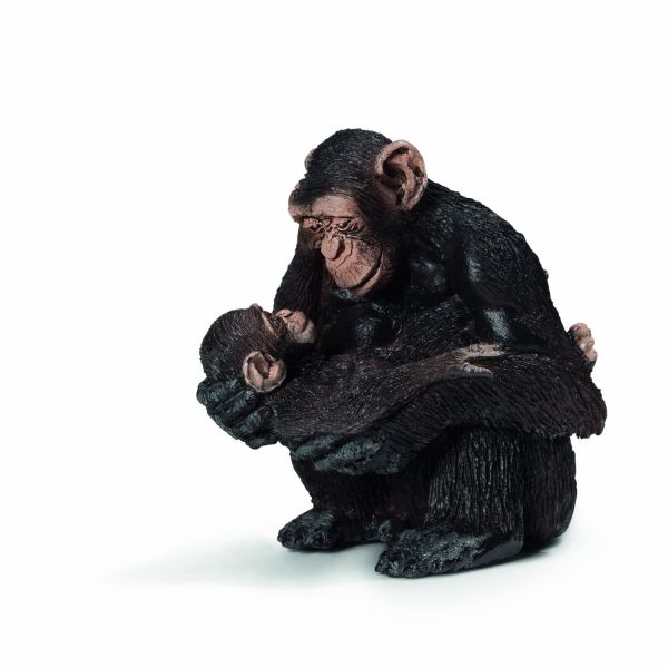 SHL14679 - Chimpanzé femelle avec bébé chimpanzé - 1