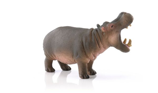 SHL14681 - Hippopotame - 1