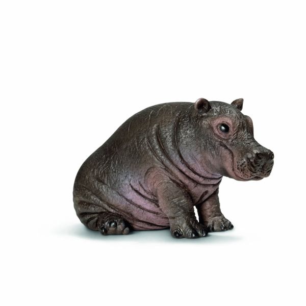 SHL14682 - Jeune hippopotame - 1