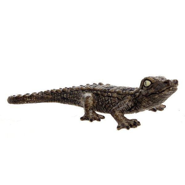SHL14683 - Jeune crocodile - 1