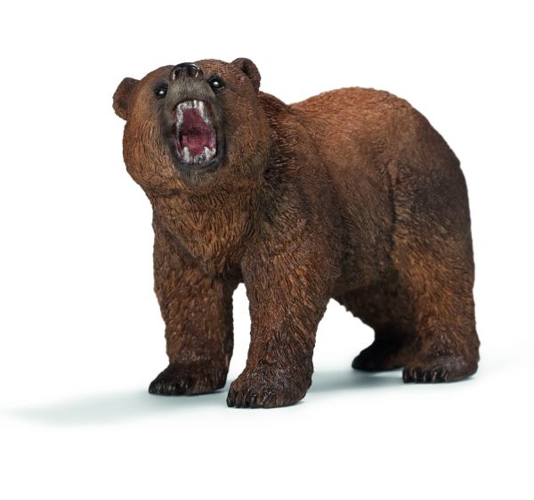 SHL14685 - Ours Grizzly - 1
