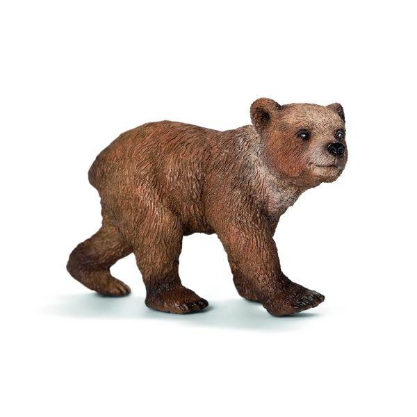 SHL14687 - Jeune ours Grizzly - 1