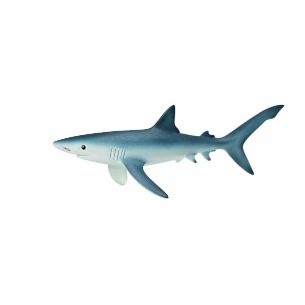 SHL14701 - Requin bleu - 1