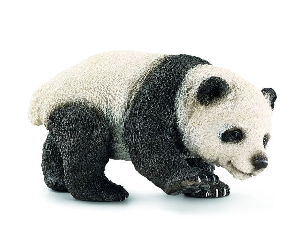 SHL14707 - Jeune panda géant - 1