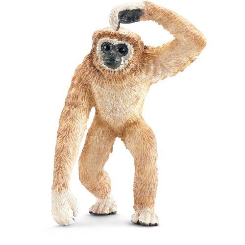 SHL14717 - Gibbon - 1