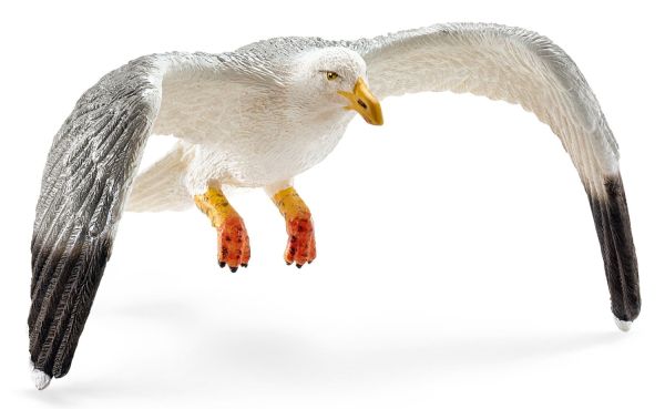 SHL14720 - Mouette - 1