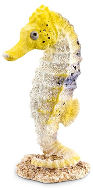 SHL14725 - Hippocampe - 1