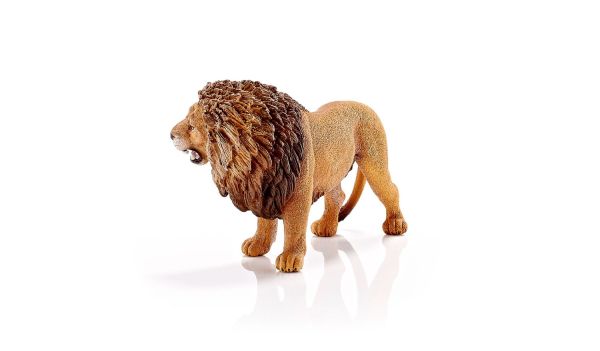 SHL14726 - Lion rugissant - 1