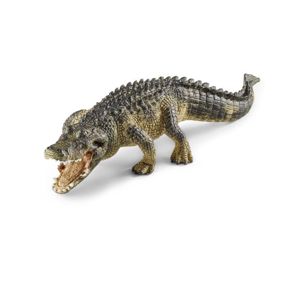 SHL14727 - Alligator - 1