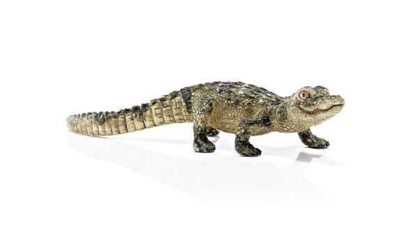 SHL14728 - Bébé alligator - 1