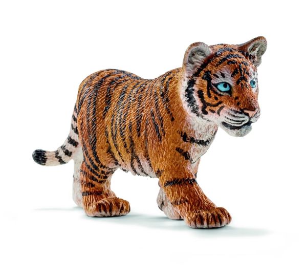 SHL14730 - Bébé tigre du Bengale - 1