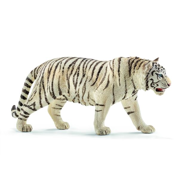 SHL14731 - Tigre blanc mâle - 1
