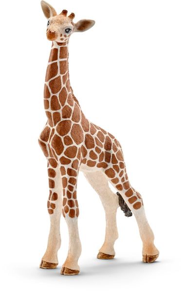 SHL14751 - Bébé girafe - 1