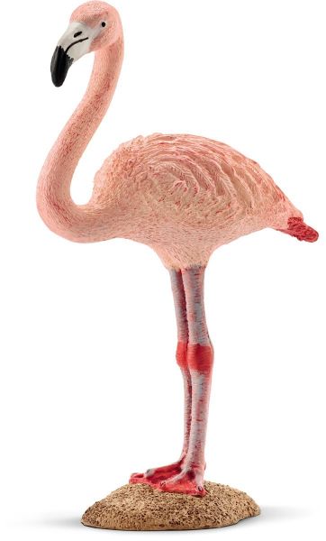 SHL14758 - Flamant rose - 1