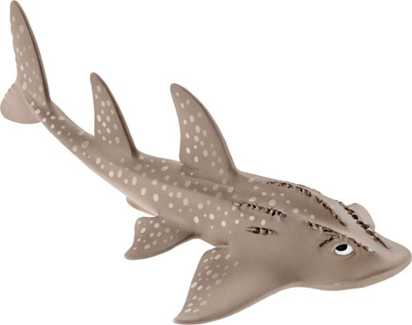 SHL14766 - Grande raie guitare - 1