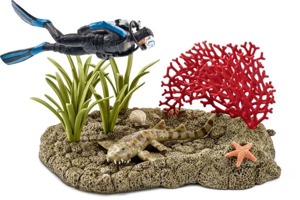 SHL42328 - Plongeur dans un récif corallien - 1