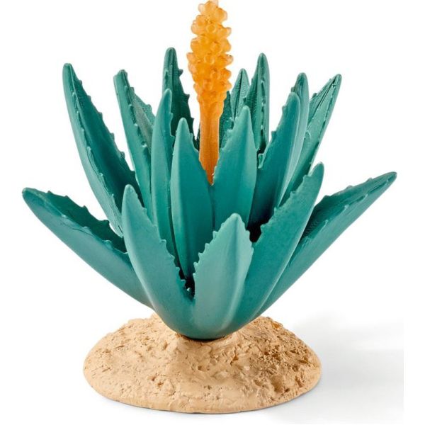 SHL42243 - Agave - 1
