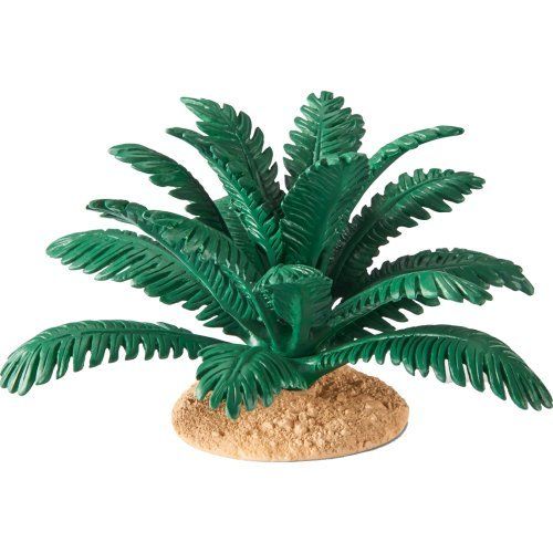 SHL42244 - Fougère - 1