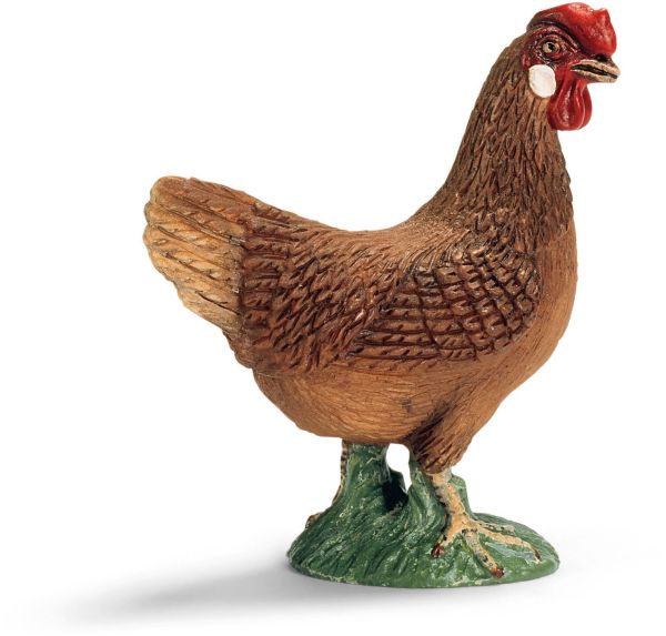 SHL13646 - Poule - 1