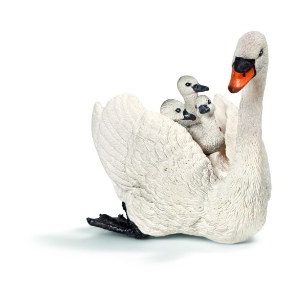 SHL13718 - Cygne blanc femelle avec cygneaux - 1
