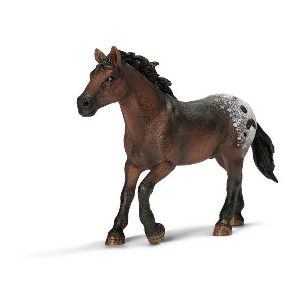 SHL13732 - Etalon Appaloosa - 1