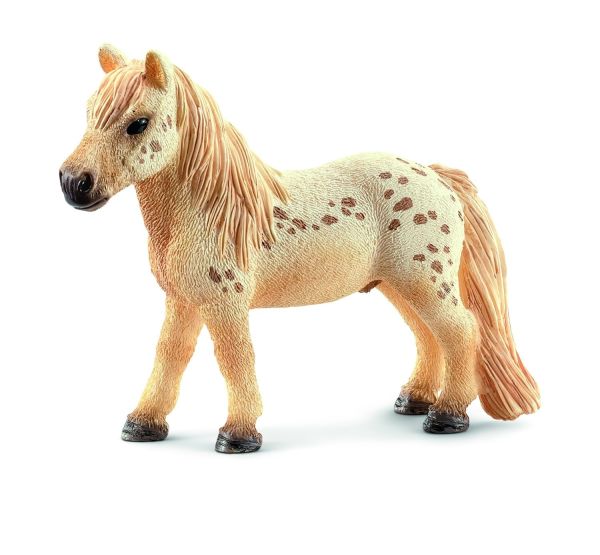 SHL13759 - Hongre Falabella - 1