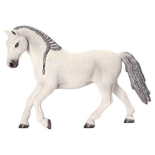 SHL13737 - Jument Lipizzan - 1