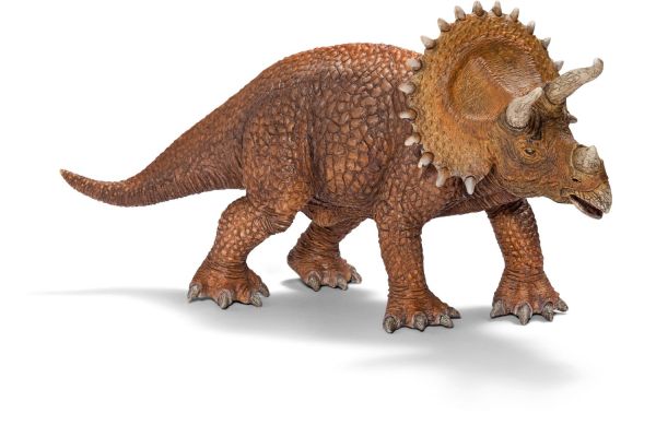 SHL14522 - Triceratops - 1
