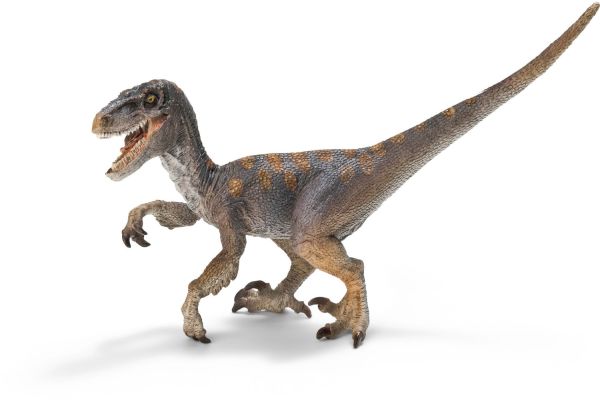 SHL14524 - Vélociraptor - 1