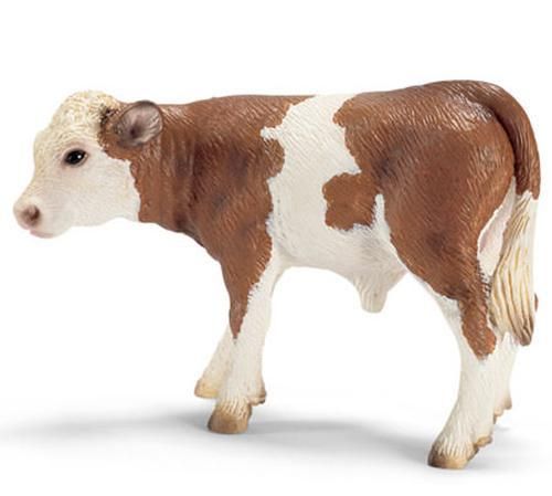 SHL13642 - Veau Simmental français - 1