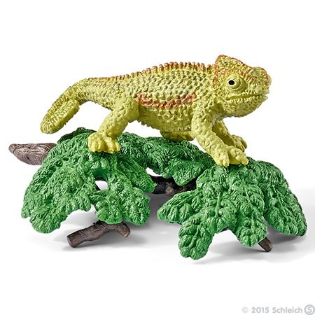 SHL42242 - Kit caméléon - 1