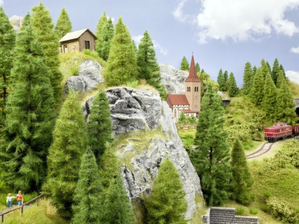 NOC24501 - 7 Épicéa verts moyen de 7 à 14 cm - 1