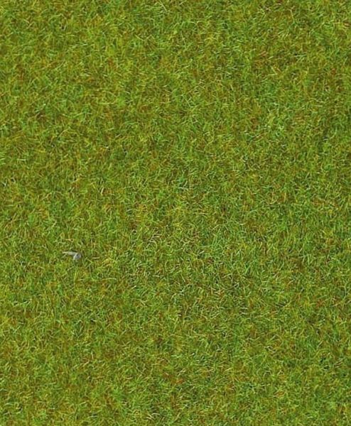 HEK30903 - Tapis d'herbe vert clair – 100x300 cm - 1
