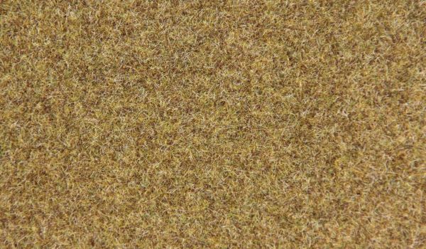 HEK33521 - Fibre d'herbe de forêt 2-3 mm - 50 g - 1