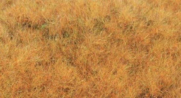 HEK33544 - Fibre d'herbe début d'automne 5-6 mm – 75g - 1