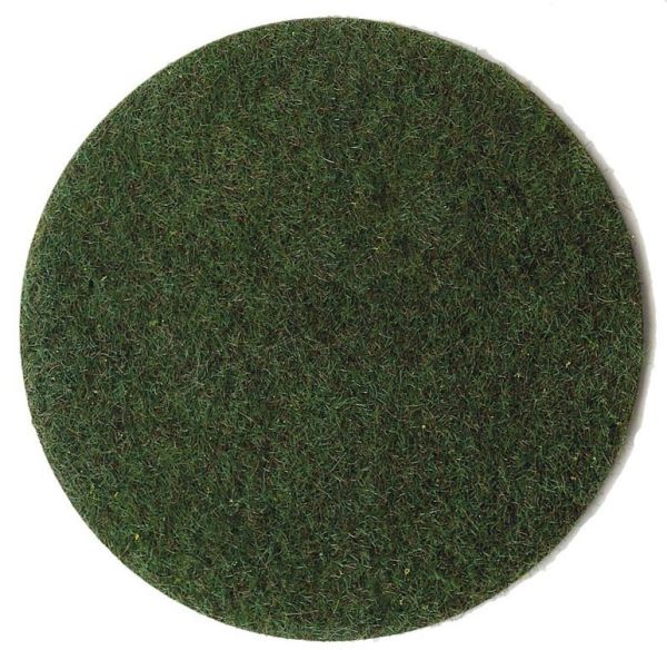 HEK3356 - Fibre d'herbe marécageux 2-3 mm – 20 g - 1