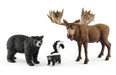 SHL41456 - Habitants de la forêt d'Amérique du Nord - 1