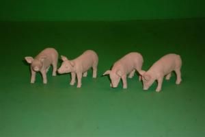 FGK571905 - LOT DE 4 COCHONS. - 1