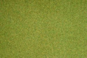 NOC00260 - Tapis d'herbage printemps 120x60cm - 1