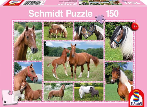 SCM56269 - Puzzle 150 Pièces rêves de chevaux - 1