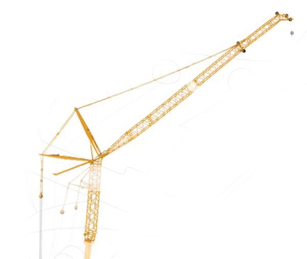 NZG7322 - Extension de fléche 54M pour LTM 11200-9.1 - 1