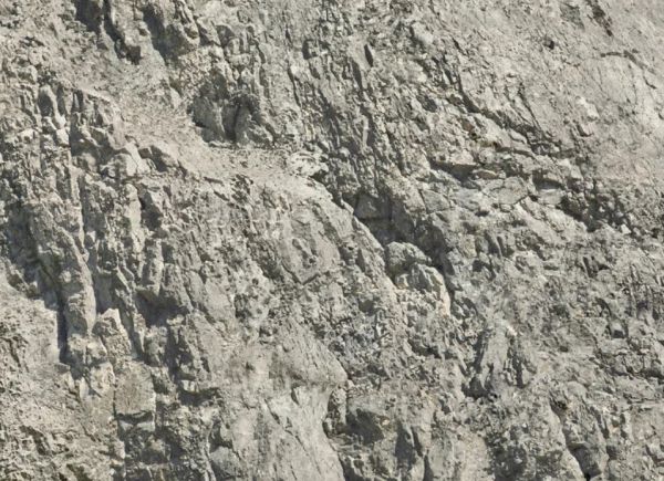 NOC60307 - Feuille de rochers froissés XL 61 x 34.5 cm - Wildspitze - 1
