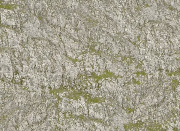 NOC60311 - Feuille de rochers froissés XL 61 x 34.5 cm – Seiser Alm - 1